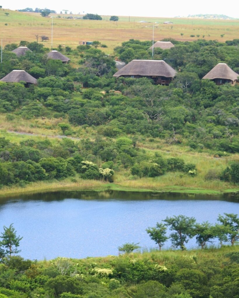 Private dam in front of Elephant Rock Lodge – peaceful safari setting
