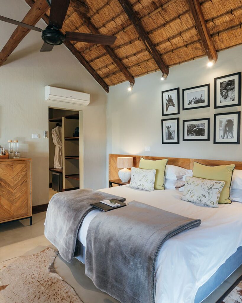 Modern Elephant Rock Lodge room with contemporary décor, offering luxury and comfort.