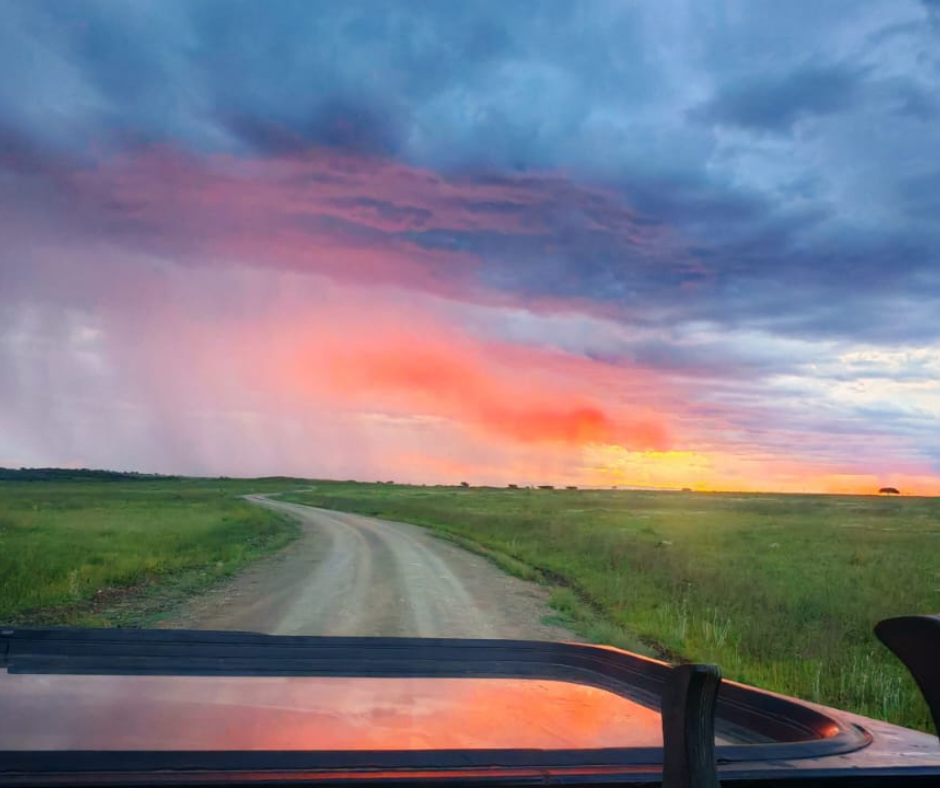 Stunning sunset over the game drive road at Nambiti Private Game Reserve, KZN