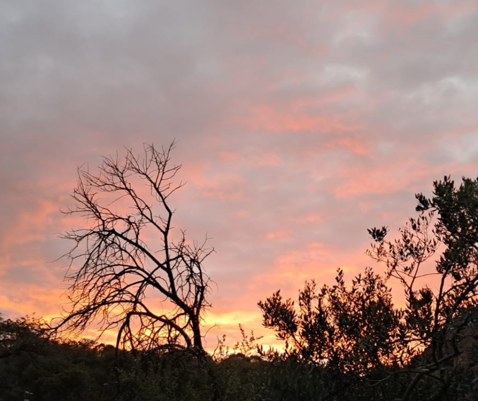 Sunset over Nambiti Game Reserve from Elephant Rock Lodge, KZN