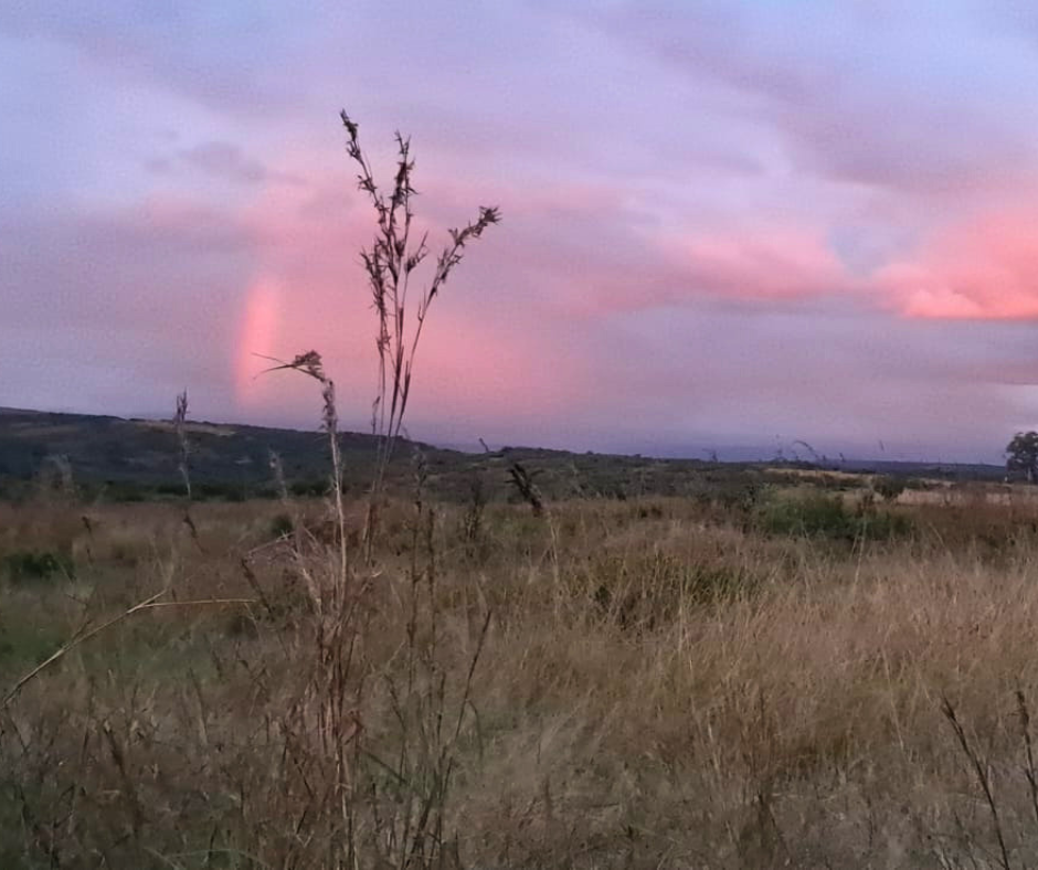 Golden hour over the Nambiti bushveld at Elephant Rock Lodge, KZN