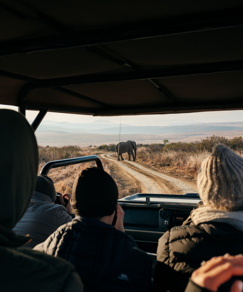 big 5 sighting on morning safari with Elephant Rock