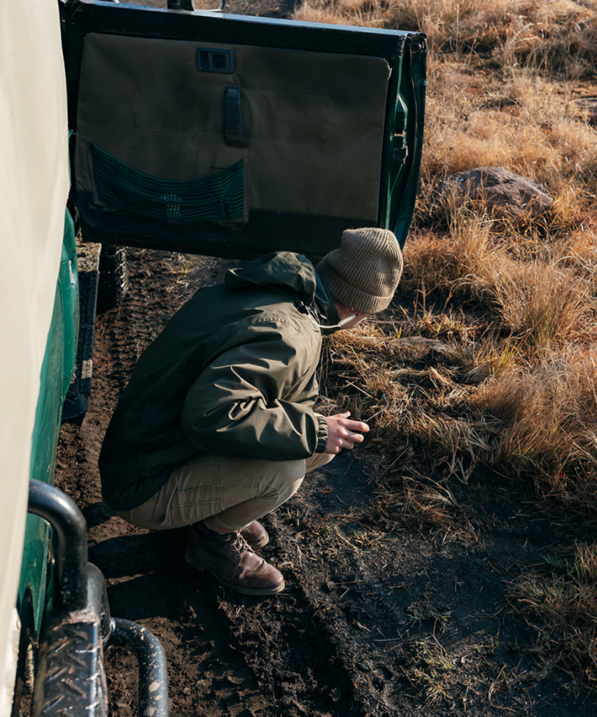 looking at the smaller details on safari with Elephant Rock.